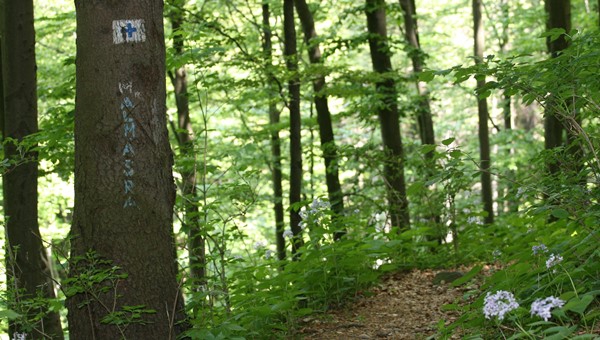 Galyatető középtáv