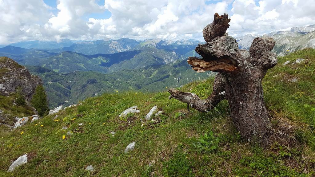 1810 m magasan ez a kilátás fogad