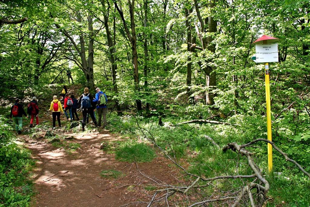 Miután a mezőről visszafordultunk, a tábla jelzése alapján elindulunk a karszt irányába