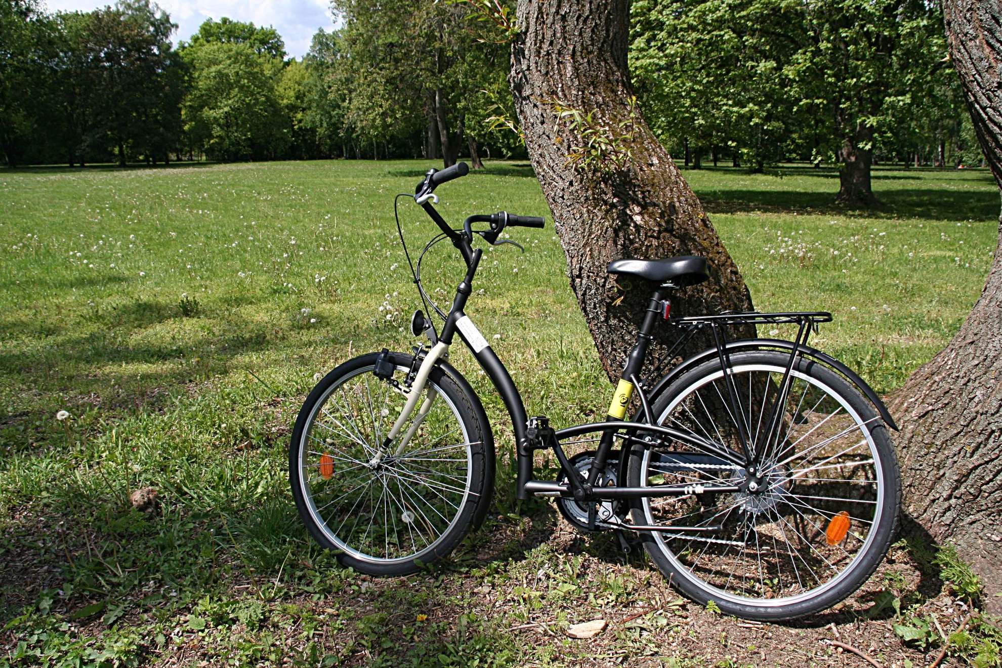 Kölcsönzött retro kerékpárunk a kassaiak kedvelt pihenő parkjában ForrĂĄs: www.mozgasvilag.hu