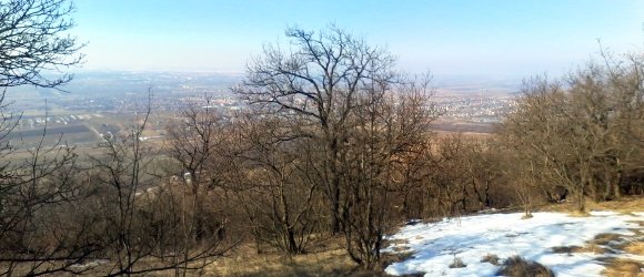 Hófoltokkal tarkított panoráma