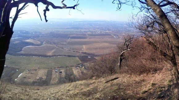 Az erdőből nyíló kis ablak