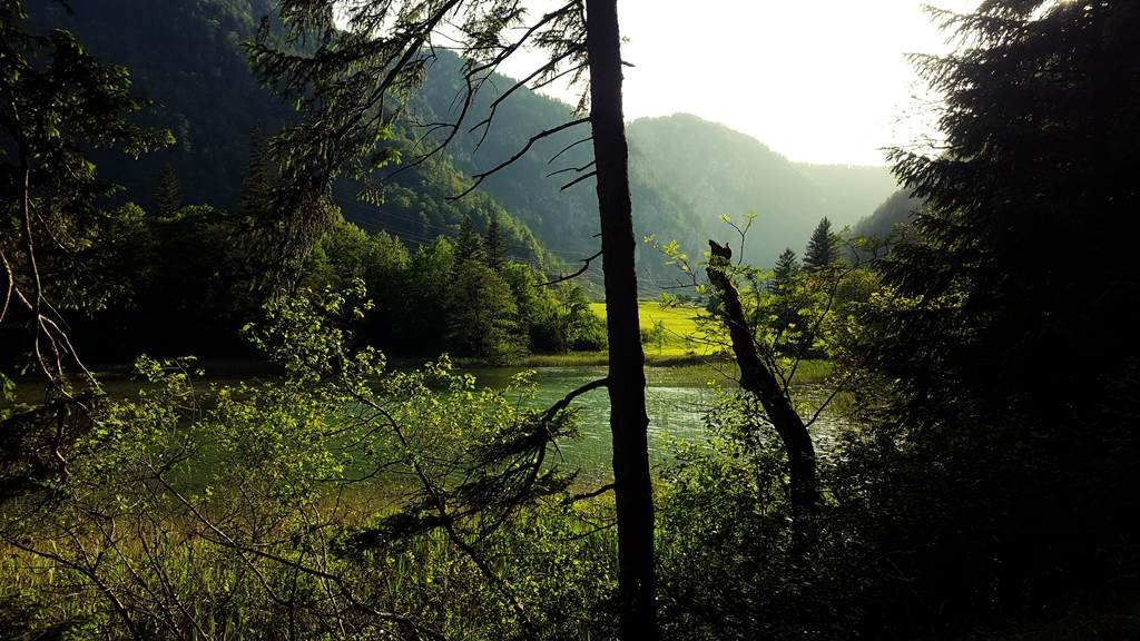 Leopoldsteinersee