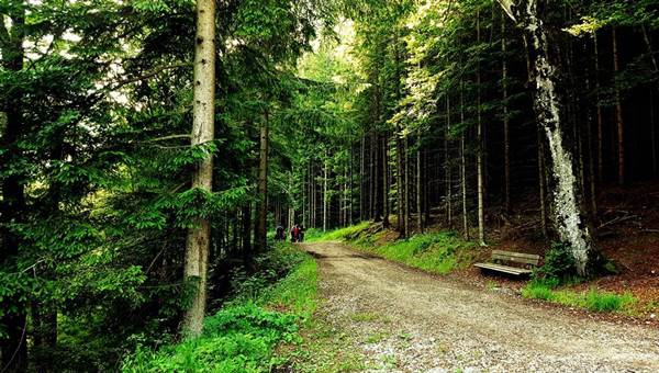 BergZeitReise 1. szakasz: Eisenerz - Sonnschienalm