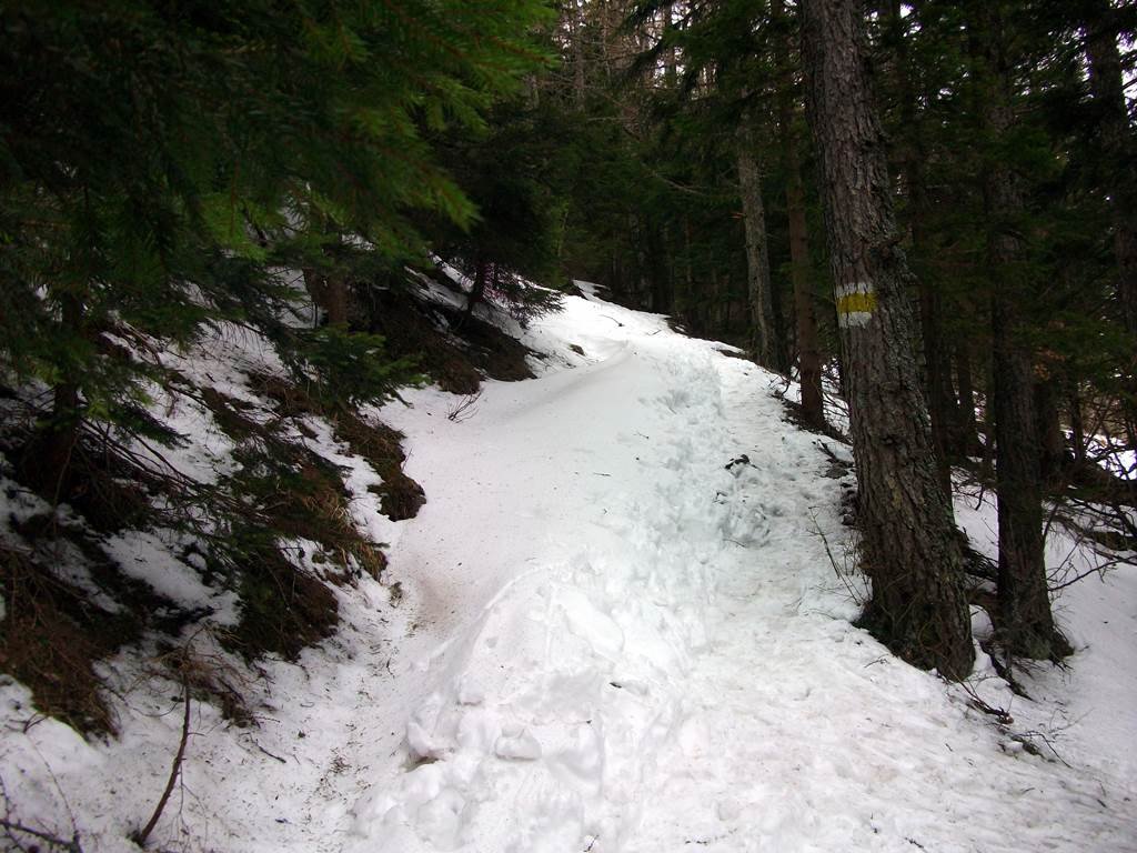 Schneeberg téli túra