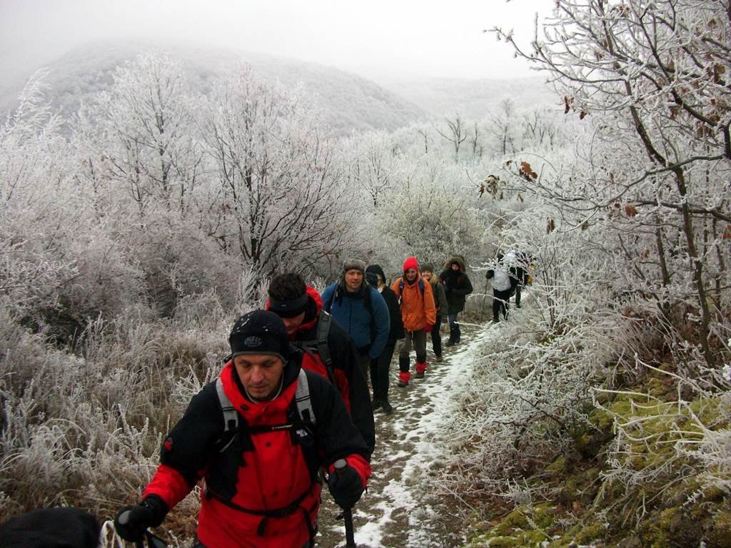 Téli túra a Bükk-hegység déli lejtőin ForrÃ¡s: Trekk.hu (c) Nyáry Tamás
