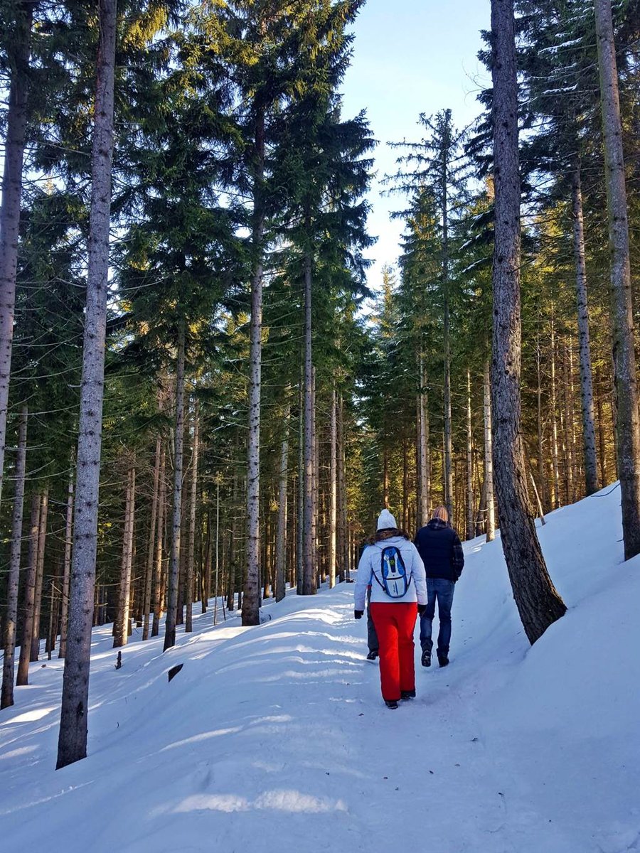 A kék színnel jelzett turistautat követjük