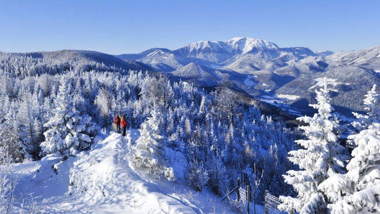 A hóban taposni a Hohe Wand Natúrparkban