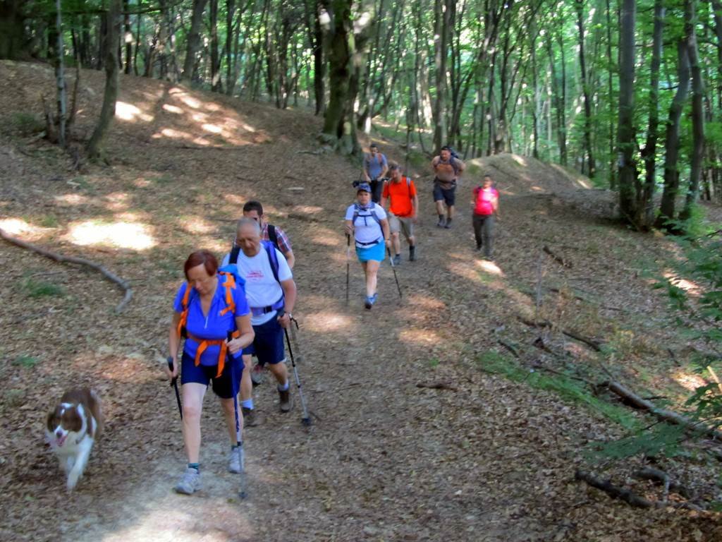 Földvárak a Mecsekben túra