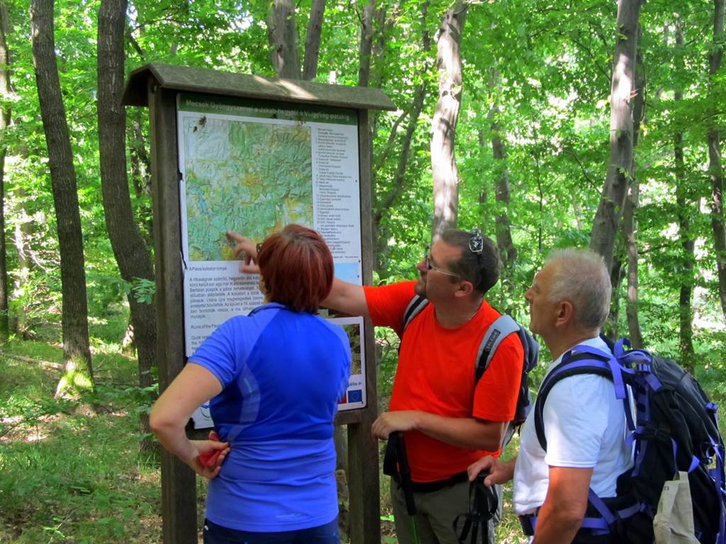 Földvárak a Mecsekben túra Forrás: Equinox Trekking Club (c) Nyáry Tamás