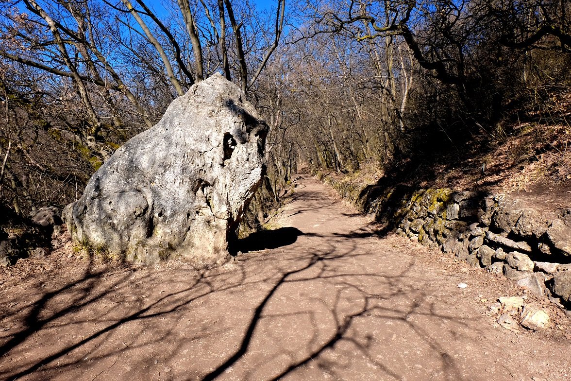 Oroszlán-szikla Forrás: VT Gergő