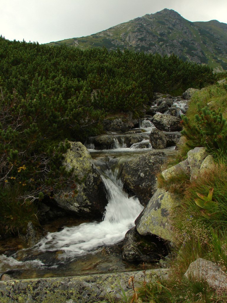 Csorbai-tótól a Furkota-völgyön át a Lorenz-hágóra