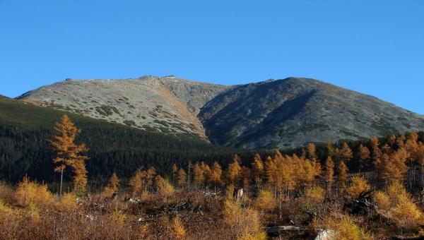 A Poprádi-tó villamos megállótól a Poprádi-tóhoz