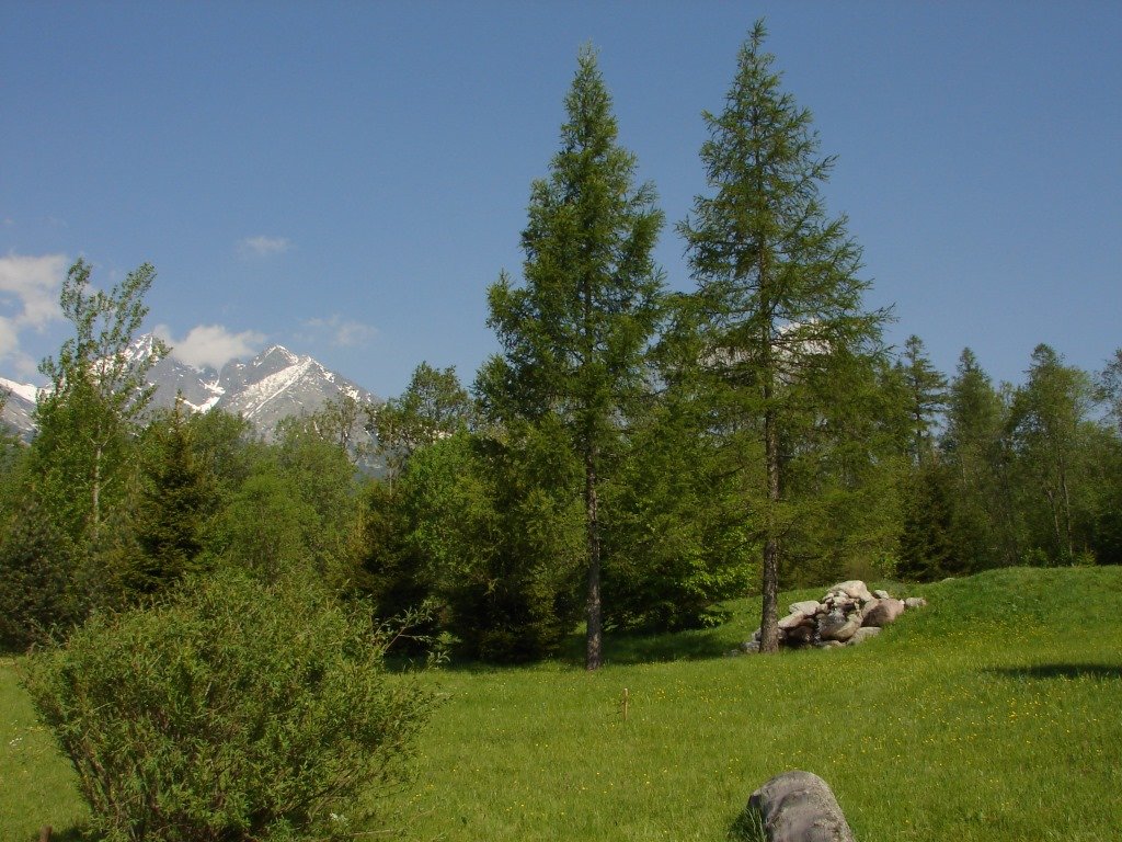 Tátralomnicról a Nagy-Lomnici-toronyra