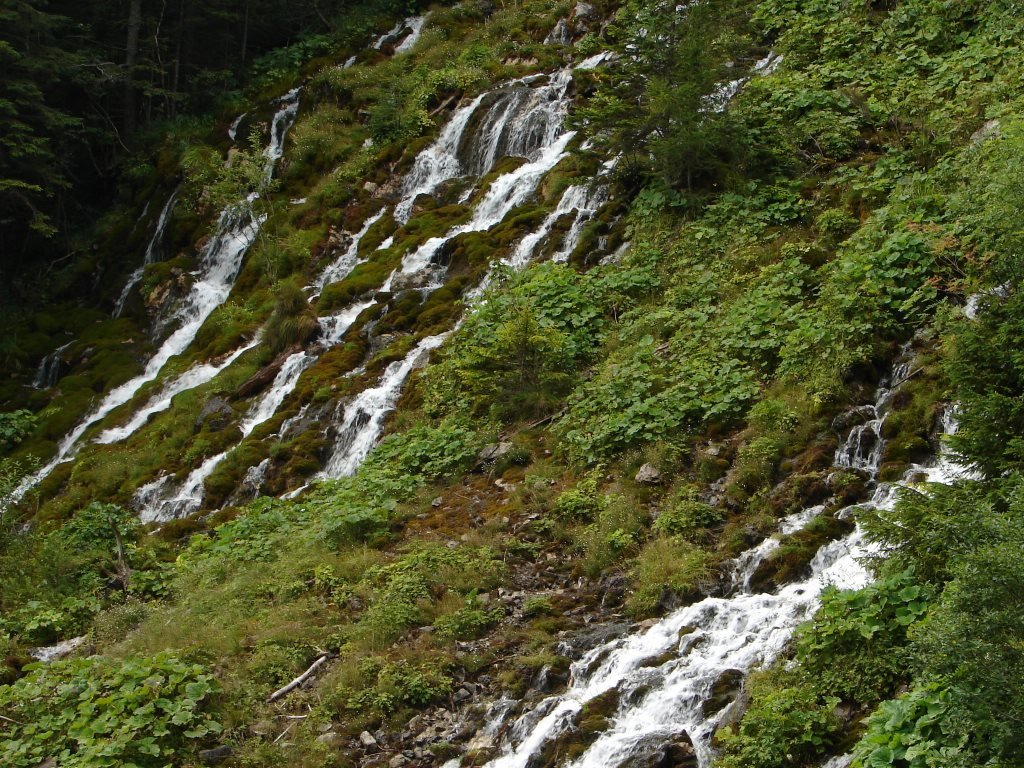 Barlangligetről a Késmárki-Zöld-tó mellett a Fehérvíz parkolóba