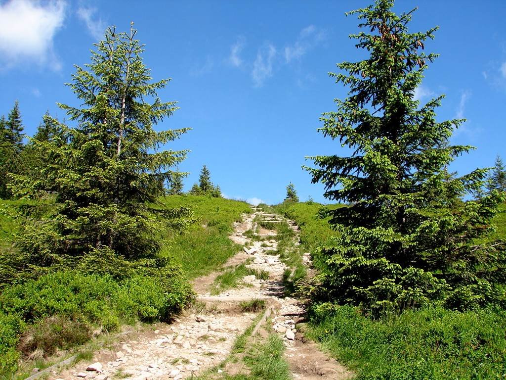 A Szürke-rétről a Rét-hegyen át a Volovecre Forrás: Nagy Árpád