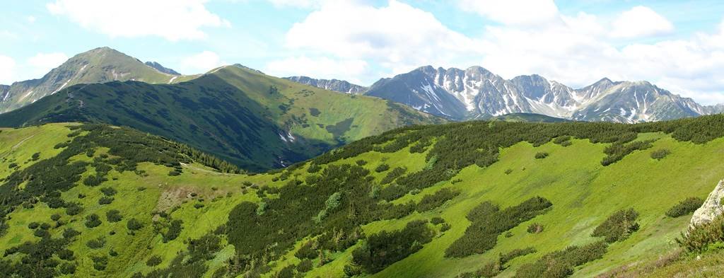 A Szürke-rétről a Rét-hegyen át a Volovecre