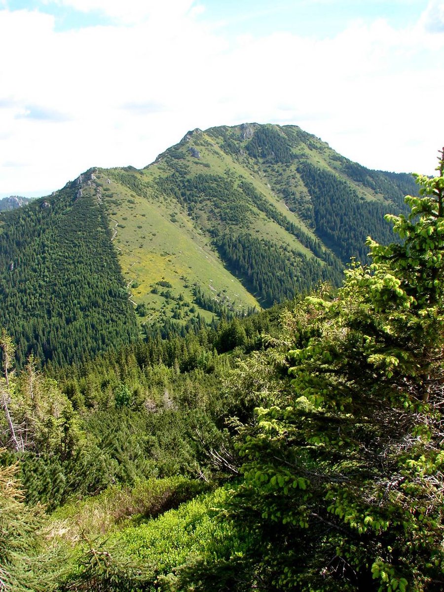 A Szürke-rétről a Rét-hegyen át a Volovecre