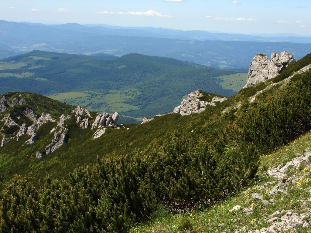 Liptóhutai-nyeregből a Szürke-hegyen át Bölényfaluba