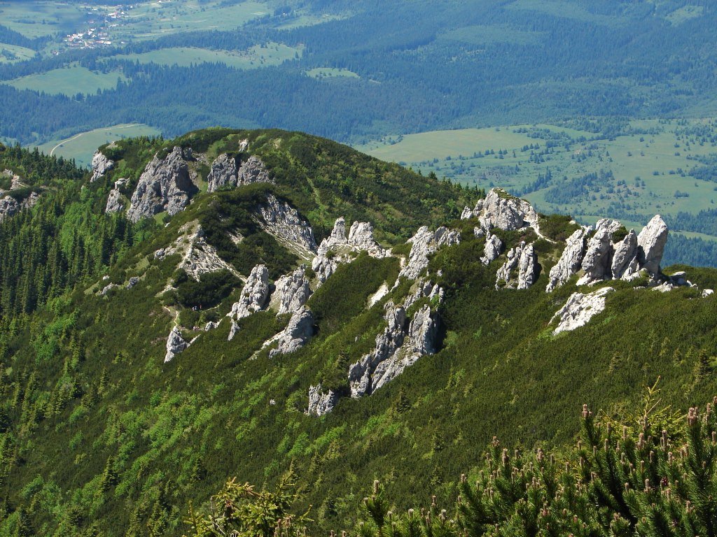 Liptóhutai-nyeregből a Szürke-hegyen át Bölényfaluba