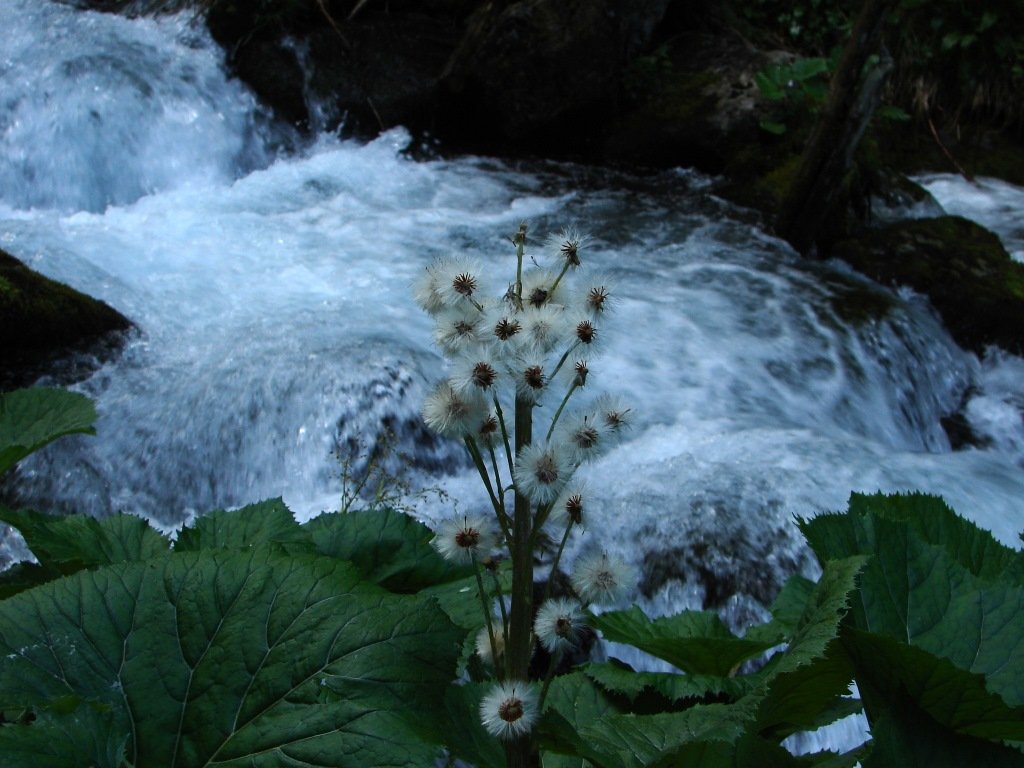 Jalóci-völgyből a Bánya-hegyre