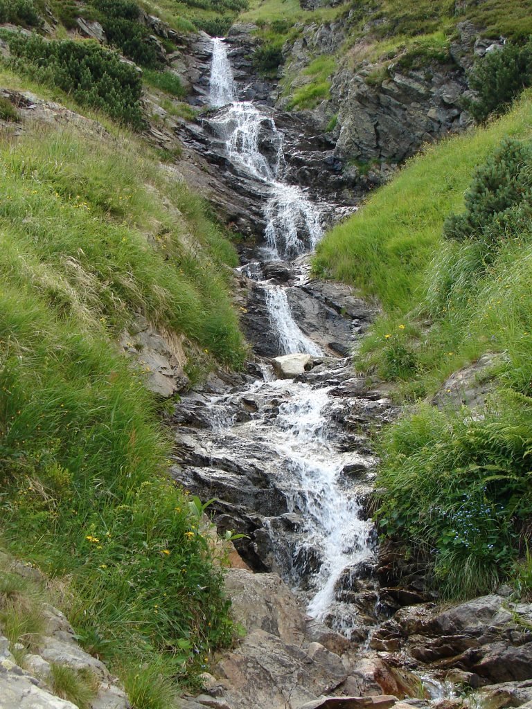 Zsári-völgyből a Bánya-hegyen át a Szomorú-hágóba