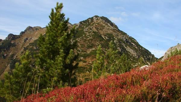 A Racskó-völgyből a Kusza-gerincen át a Jakubinára