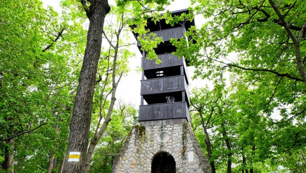 Hárs-hegyi kilátók (Szépjuhásznétól Hűvösvölgyig)