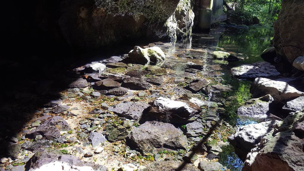 Kristálytiszta vízű patakocska áramlik ki a barlangból