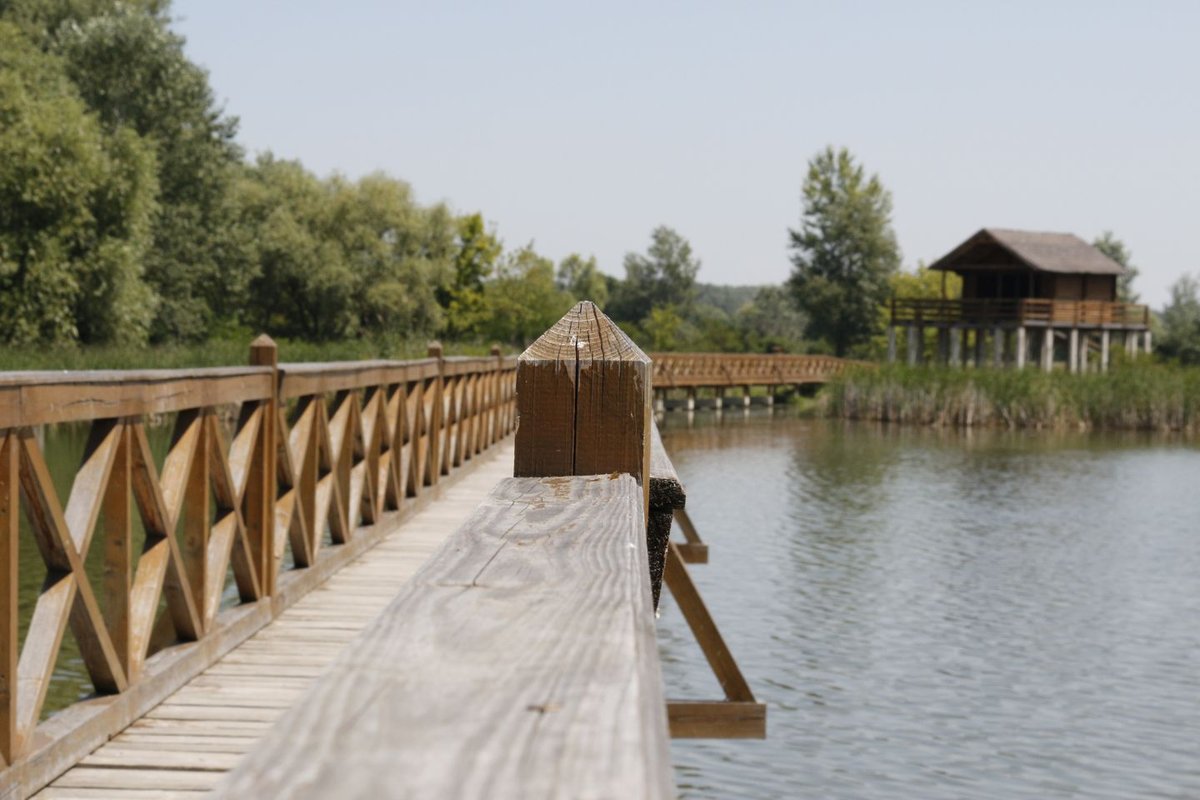 Tokaj - Tiszadob ForrÃ¡s: Mozgásvilág.hu