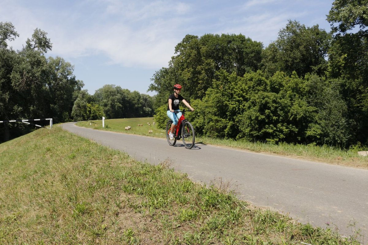 Tokaj - Tiszadob ForrÃ¡s: Mozgásvilág.hu