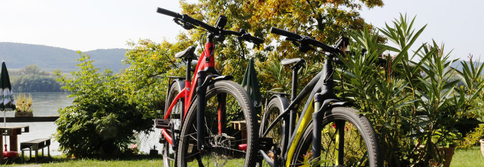 Dunakanyar kerékpártúra (Sződliget - Zebegény) Túra