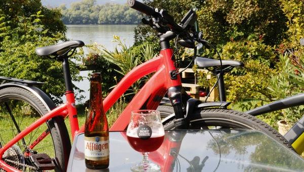 Dunakanyar kerékpártúra (Sződliget - Zebegény)