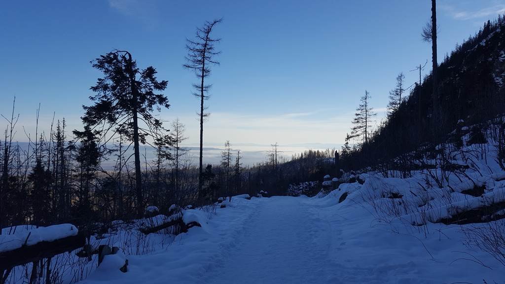 Úton vissza a Tarajka felé