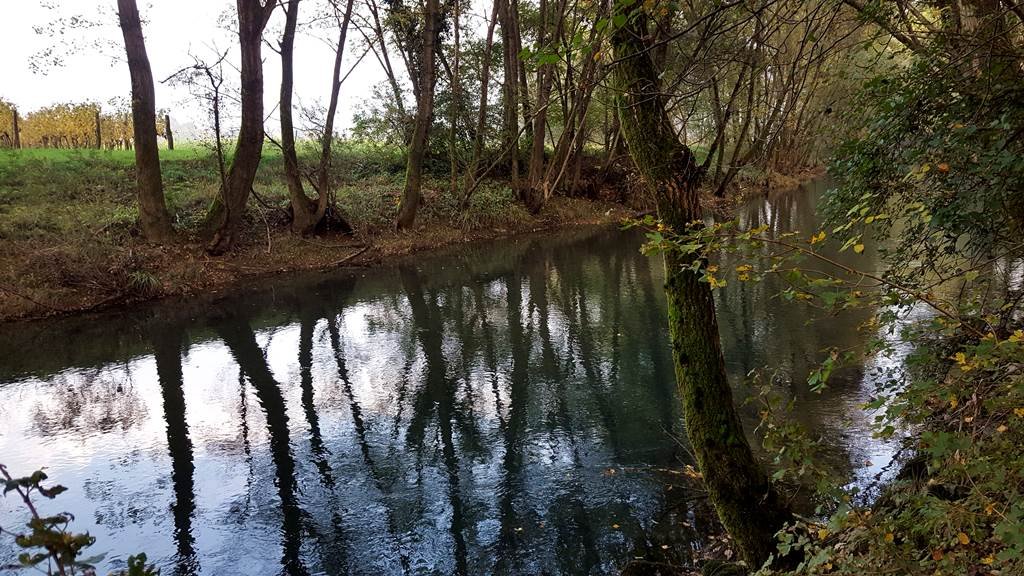 A Vipava folyó