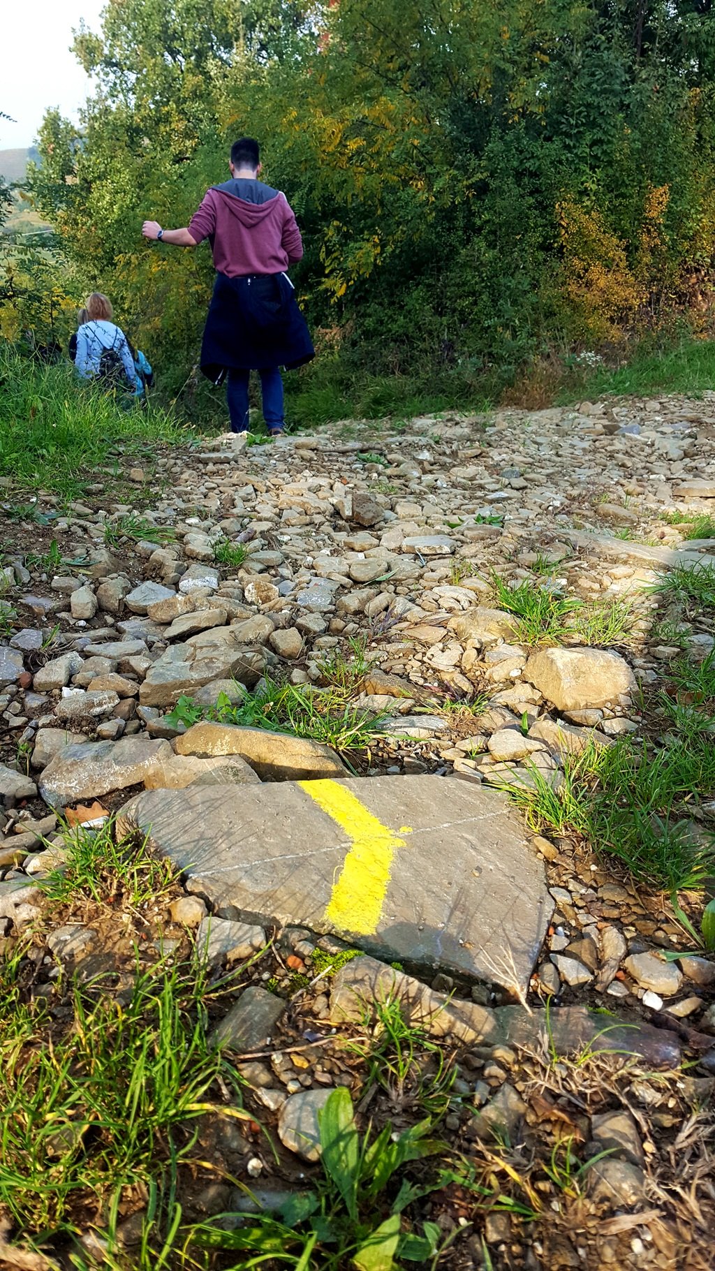 A túraútvonalon a sárga jelzést követjük