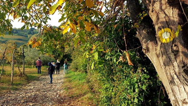 Šmartno - Dobrovo gyalogtúra