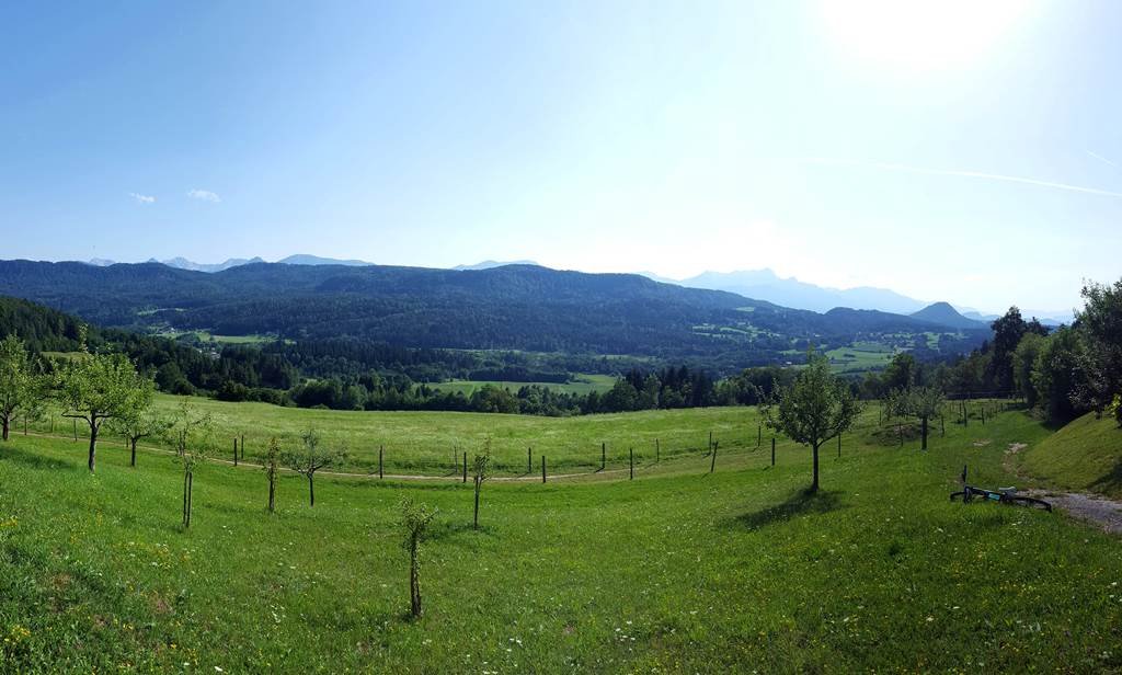 Itt bukkanunk ki az erdőből a a Panoramaweg aszfaltút tetején