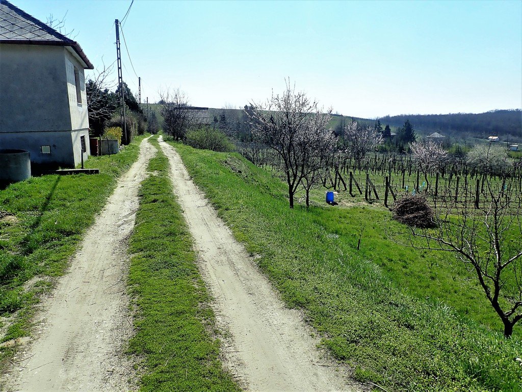 Ezerjó borút