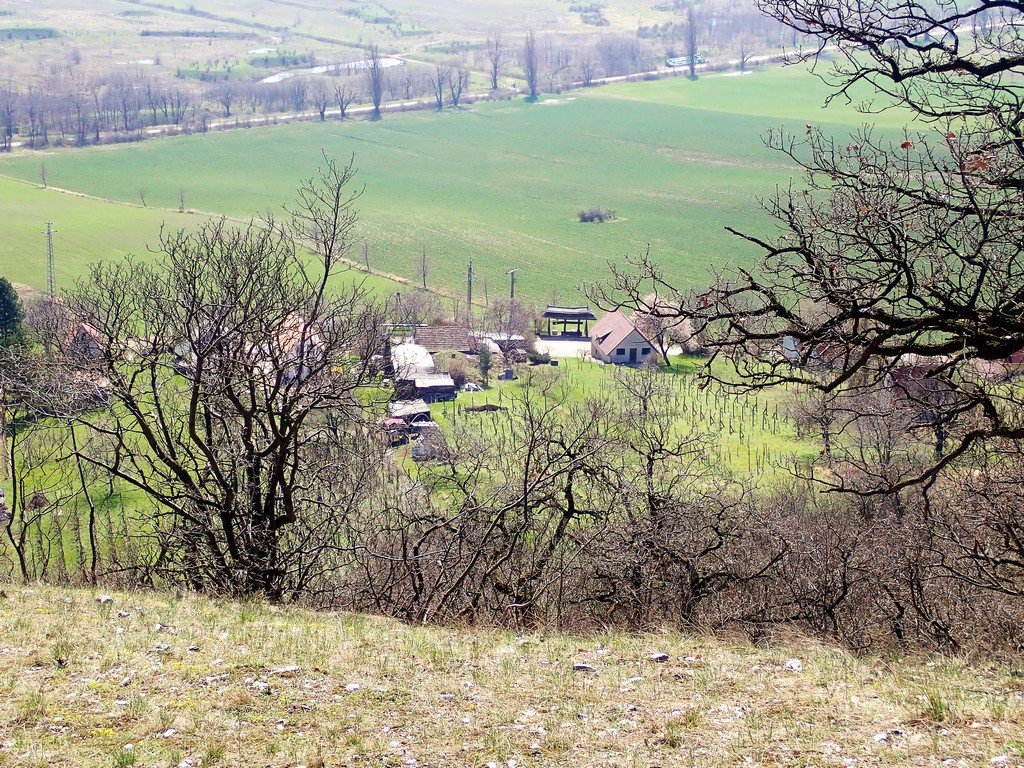 Csákberény zöld kereszt körtúra