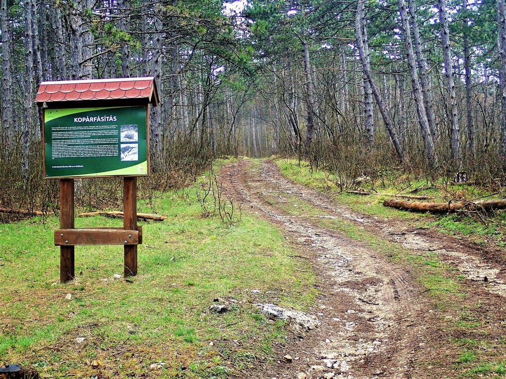 Vértesi panoráma tanösvény