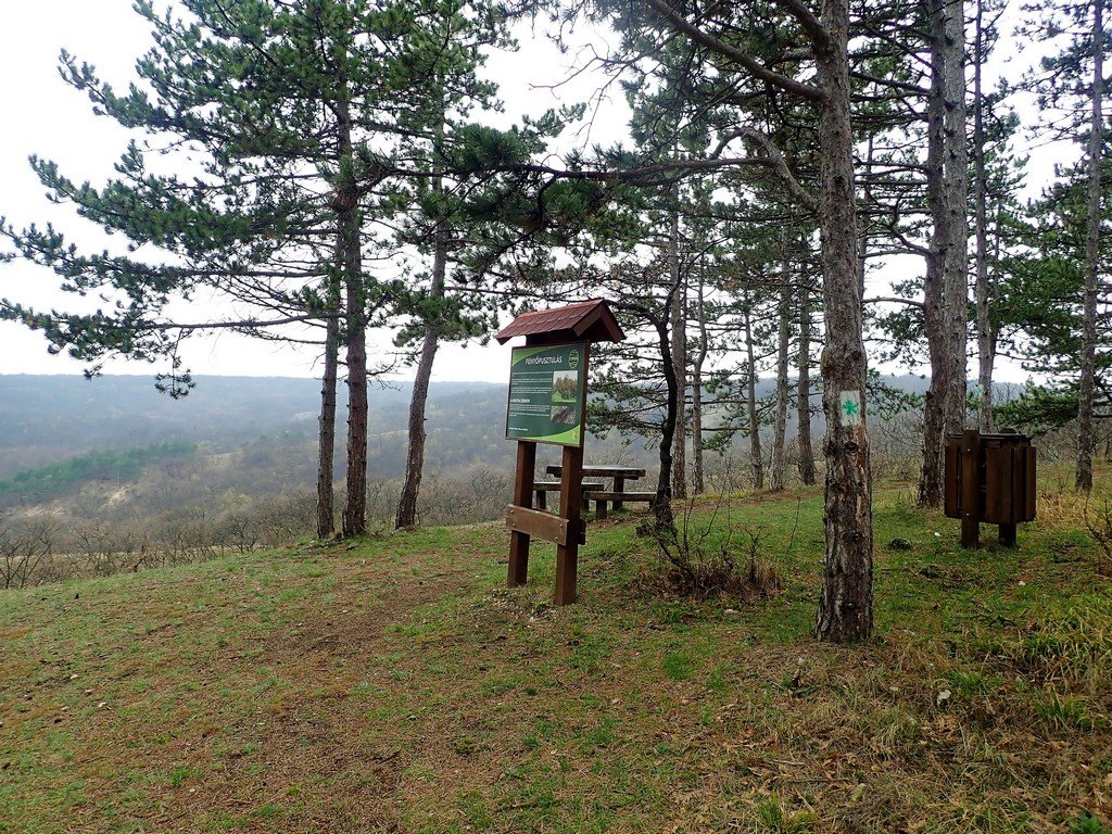 Vértesi panoráma tanösvény