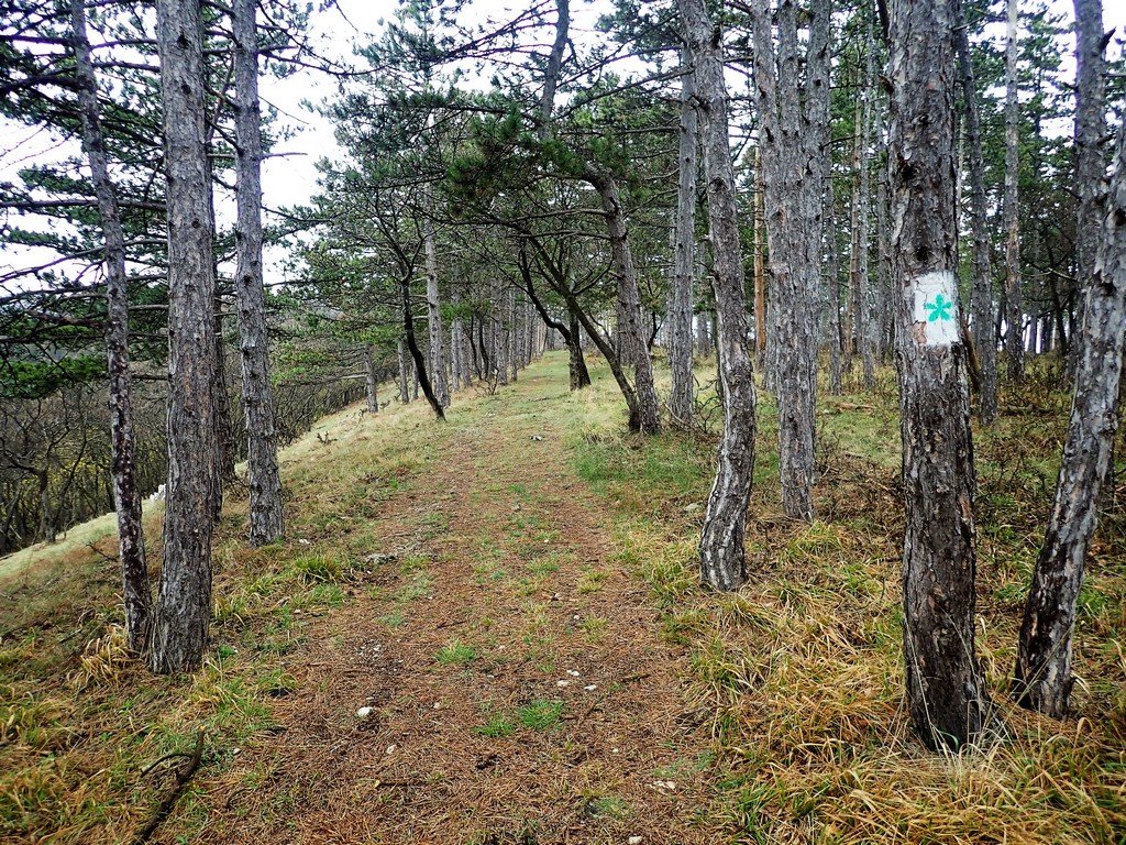 Vértesi panoráma tanösvény