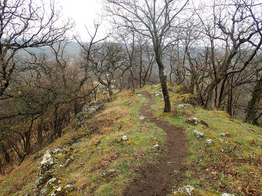 Vértesi panoráma tanösvény