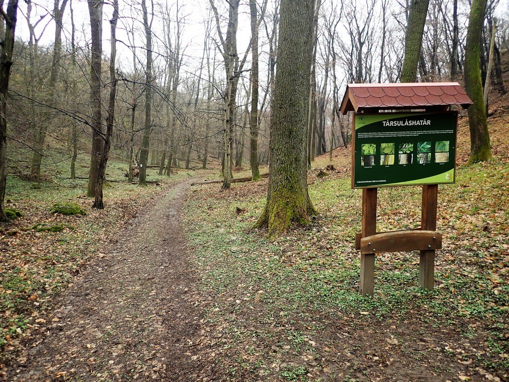 Vértesi panoráma tanösvény