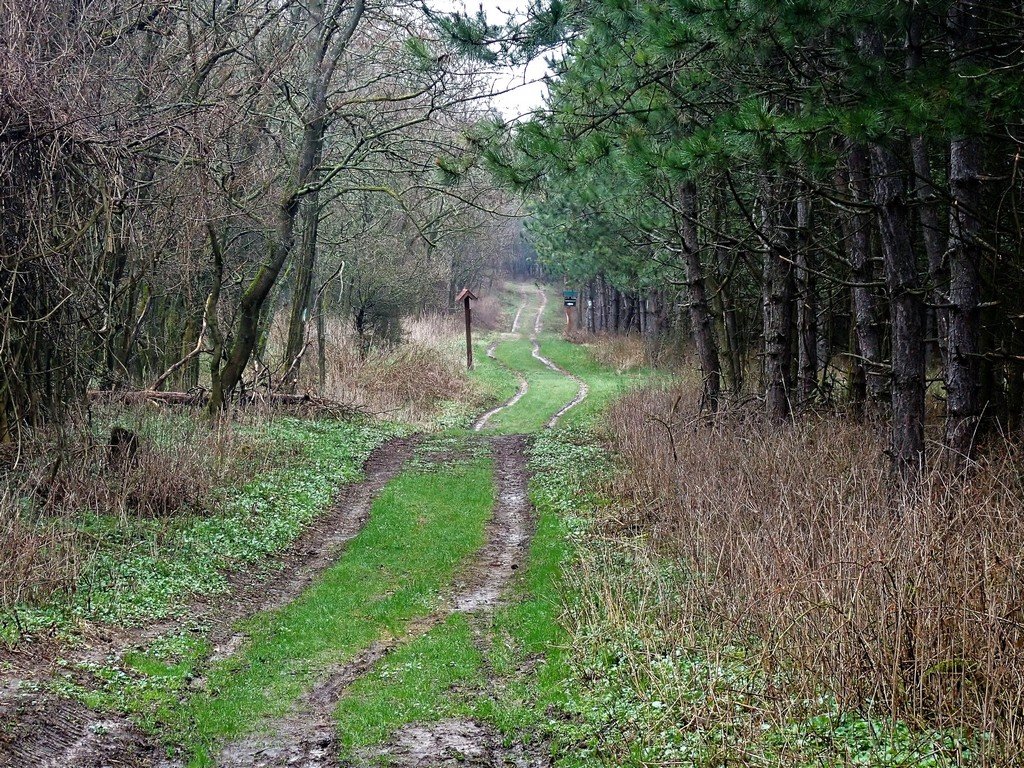 Vértesi panoráma tanösvény