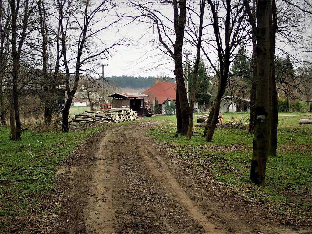 Keresztül a Vértesen Csákberényből Oroszlányig