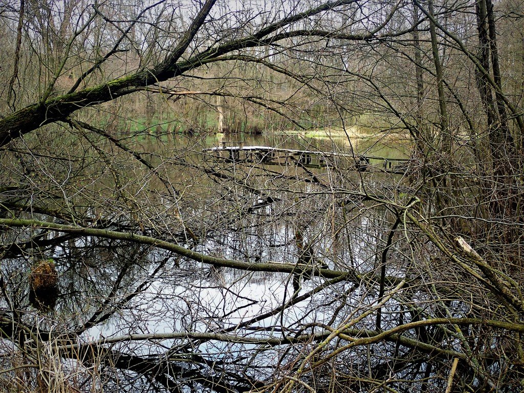 Keresztül a Vértesen Csákberényből Oroszlányig