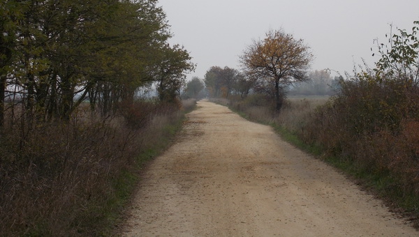 Országos Kéktúra 1/3 Szeleste-Sárvár