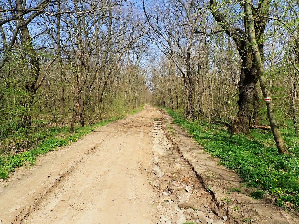 A piros jelzésen indulunk